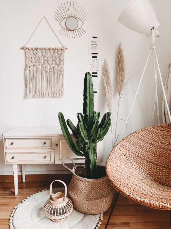 Top 15 indoor plants - EasyChic Home